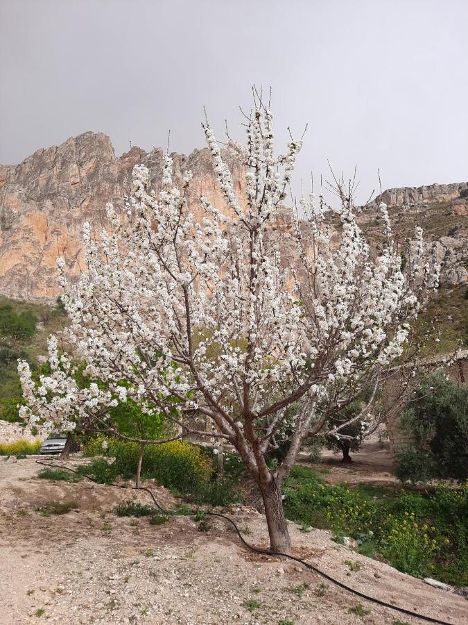 Cortijo El Chorreadero En Parque Natural Sierra De Cazorla Лос-Росалес Экстерьер фото