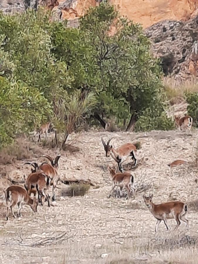 Cortijo El Chorreadero En Parque Natural Sierra De Cazorla Лос-Росалес Экстерьер фото