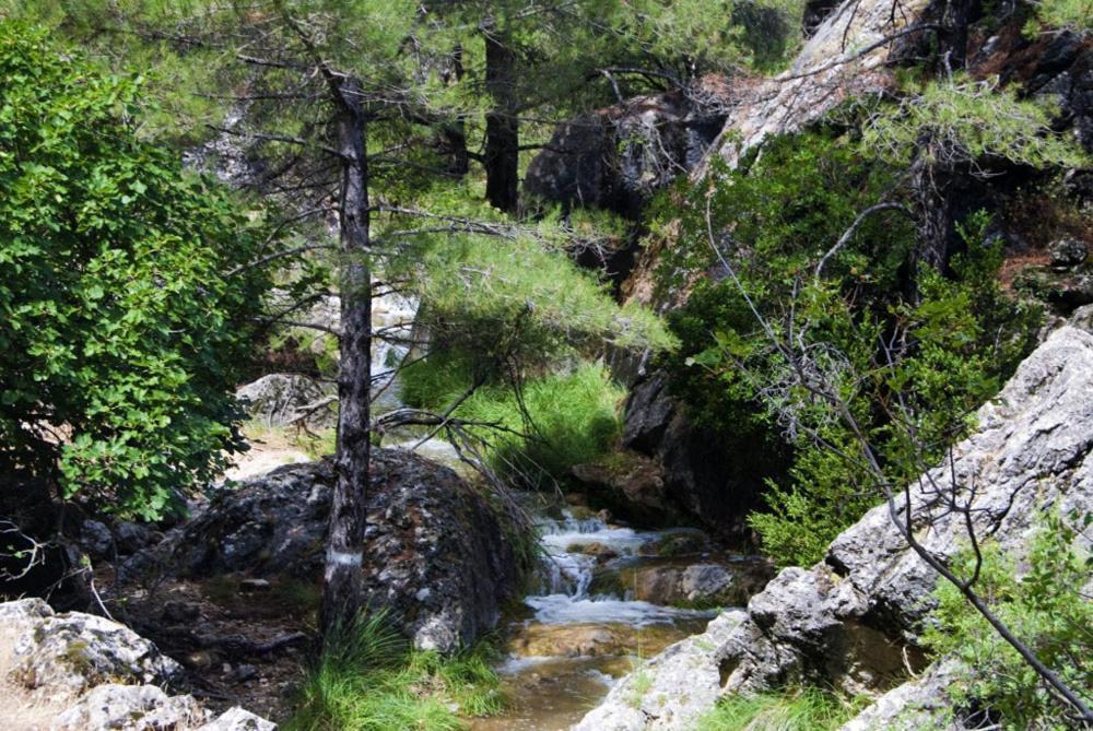 Cortijo El Chorreadero En Parque Natural Sierra De Cazorla Лос-Росалес Экстерьер фото
