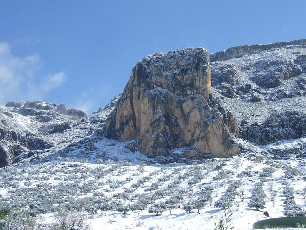 Cortijo El Chorreadero En Parque Natural Sierra De Cazorla Лос-Росалес Экстерьер фото