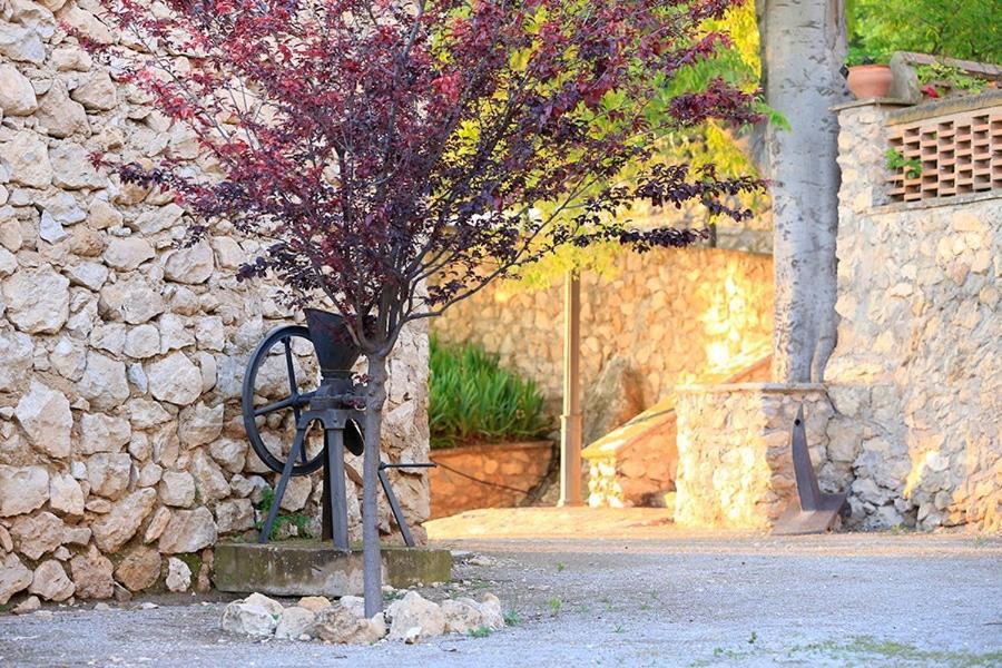 Cortijo El Chorreadero En Parque Natural Sierra De Cazorla Лос-Росалес Экстерьер фото