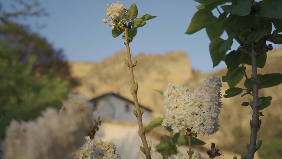 Cortijo El Chorreadero En Parque Natural Sierra De Cazorla Лос-Росалес Экстерьер фото